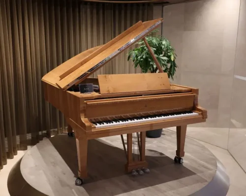 Luxuriöser Steinway‑&‑Sons‑Flügel in einem Showroom, als Symbol für die Konsum‑, Luxus‑ und Einzelhandelsbranche.